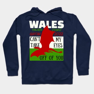 Wales Qatar World Cup 2022 Hoodie